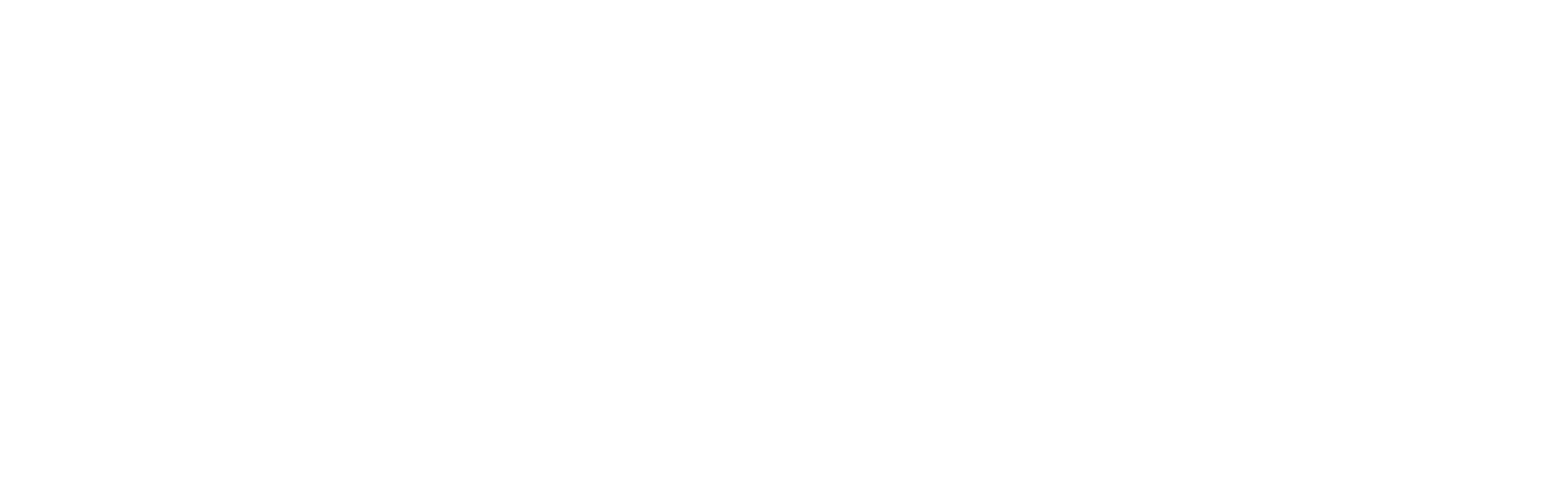 logo main
